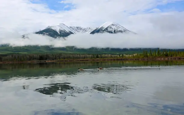 Photo of Two peaks and two geese - Vermilion Lake