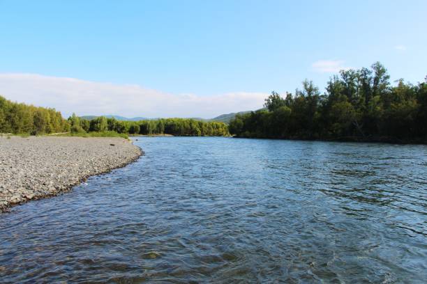 istock beautiful mountain river in the early autumn 1127231888