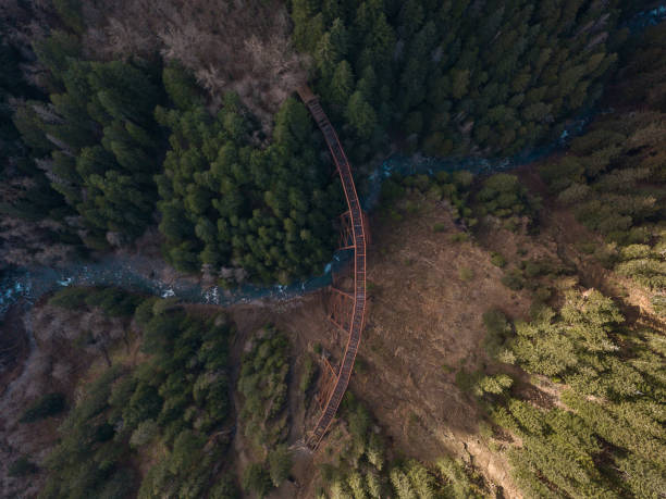istock Ladner creek trestle bridge from a drone overhead 1127242267