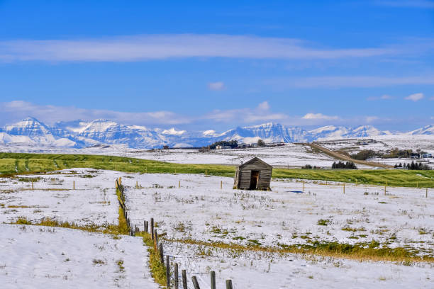 inclinando-se em vista a tulha, paisagem de pradaria de alberta do sul com o parque nacional dos lagos waterton - prairie farm winter snow - fotografias e filmes do acervo
