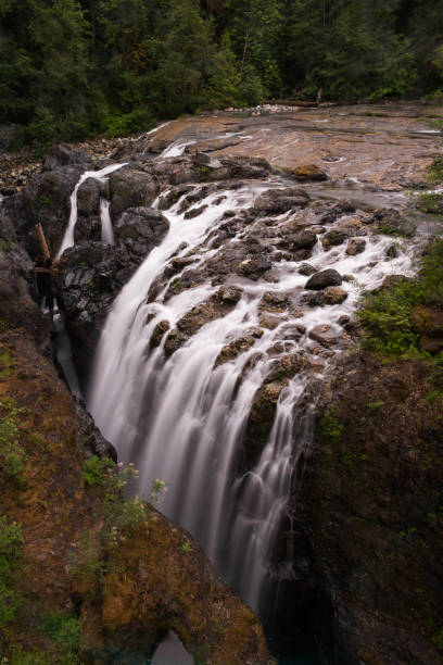 rzeka anglika falls vancouver wyspa - englishman river falls zdjęcia i obrazy z banku zdjęć