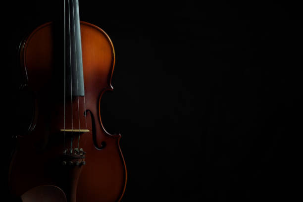 istock Violin in black isolated background 1127249275