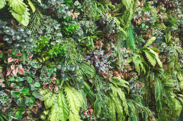 istock Variety of green leaves with plants decorative on wall 1127251949
