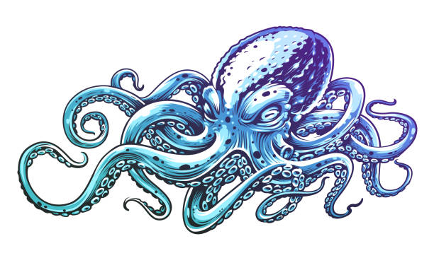 blaue krake vektorgrafiken - octopus tentacle isolated white stock-grafiken, -clipart, -cartoons und -symbole