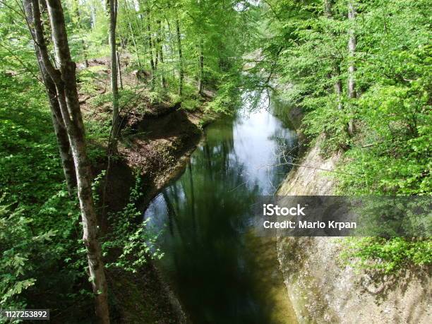 Stream In The Woods Near The Town Of Gossau Stock Photo - Download Image Now