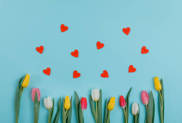 istock Valentine's Day background. Beautiful fresh tulips. 1127254182
