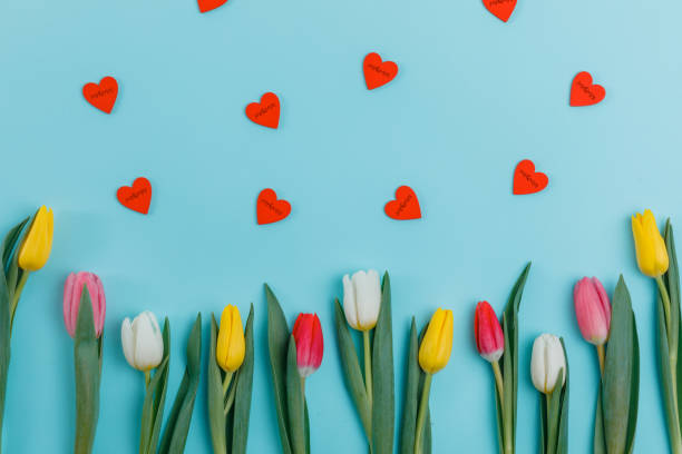 istock Valentine's Day background. Beautiful fresh tulips. 1127254190