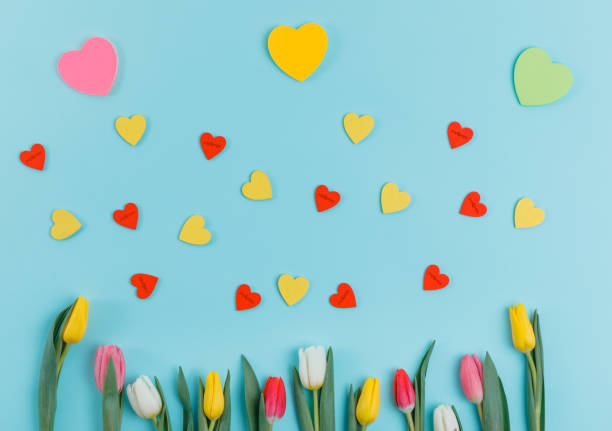 istock Valentine's Day background. Beautiful fresh tulips. 1127254196