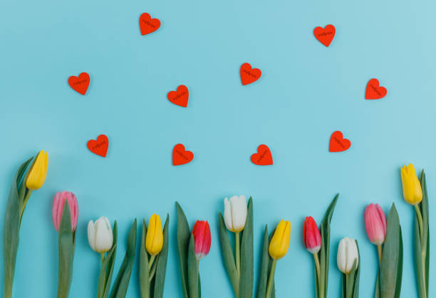 istock Valentine's Day background. Beautiful fresh tulips. 1127254205
