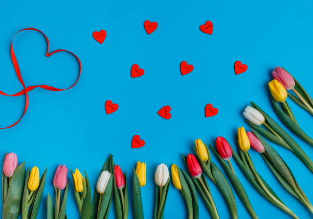 istock Valentine's Day background. Beautiful fresh tulips. 1127254236