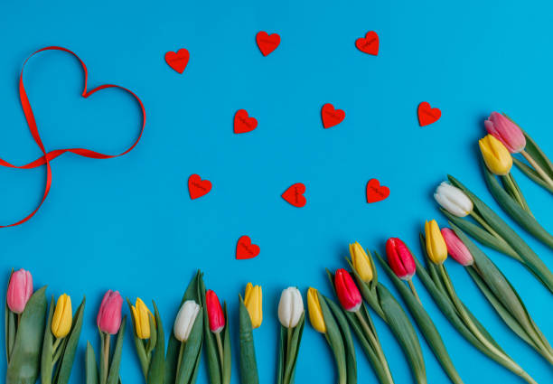 istock Valentine's Day background. Beautiful fresh tulips. 1127254238