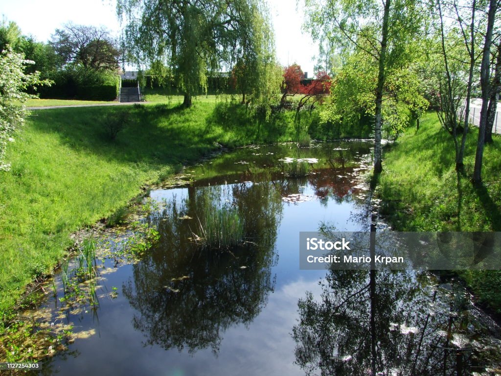 Pond by the park in the town of Gossau (canton of St. Gallen, Switzerland) Beauty Stock Photo
