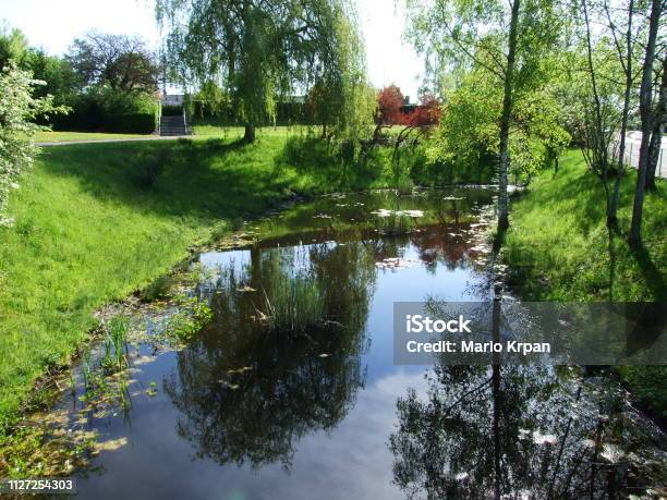 Pond By The Park In The Town Of Gossau Stock Photo - Download Image Now