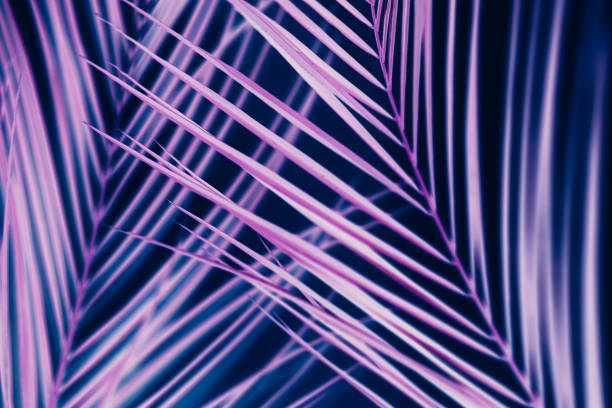 istock vibrant neon palm tree foliage ultraviolet design 1127256130
