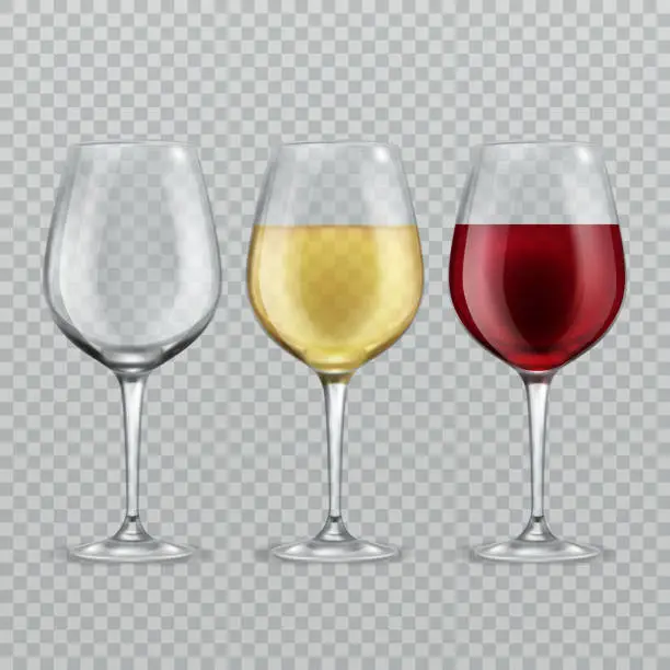 Vector illustration of Wineglass. Empty with red and white wine in transparant wineglasses isolated glassware vector illustration