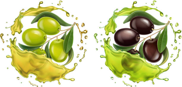 ilustrações de stock, clip art, desenhos animados e ícones de olive oil splash 3d realistic vector set with olives black and green branch for extra virgin label. - virgin olive oil