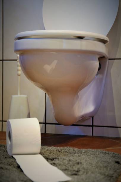 istock An Image of a toilet with a dog 1127259605