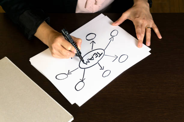 business woman draws a pattern with written team in the center of the sheet design a group work documento stock pictures, royalty-free photos & images