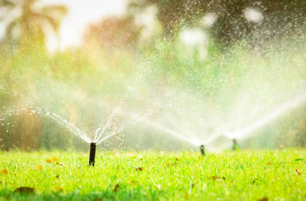 自動芝生のスプリンクラーが芝生に水をまきます。自動システムでスプリンクラーします。芝生に水をまく庭の灌漑システム。スプリンクラー システム メンテナンス サービス。ホーム サー - 園芸用散水機 ストックフォトと画像