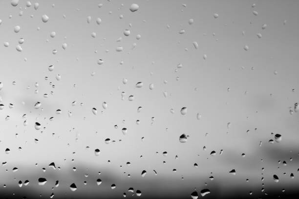 istock Rain drops and defocused sky background in black and white. 1127262733