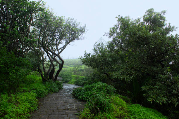 Walking track seen from Sinhagad fort, Maharashtra, Pune