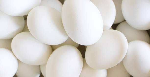 istock Eggs, raw egg white photo in studio short macro close up and isolated on white background. Food concept. 1127264017