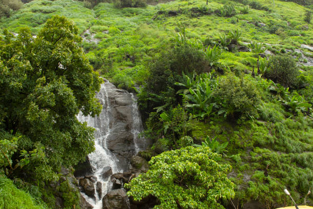 Lonavala Waterfall Photos, Download Free Lonavala Waterfall Stock Photos &  HD Images