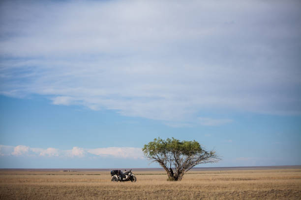istock Sidecar motorcycle parked next to a lonely tree 1127276860