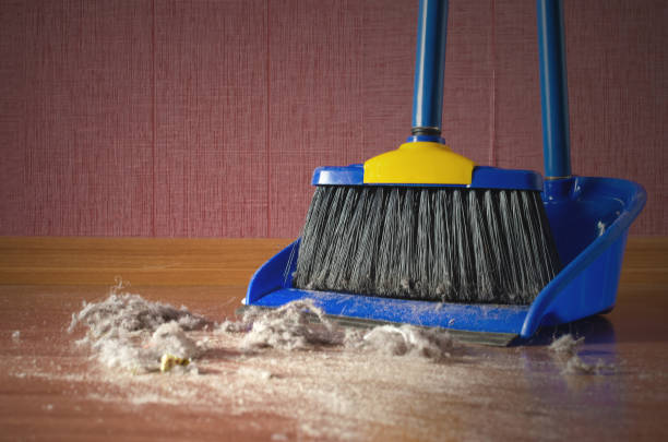 Home cleaning. Dust on a house floor and floor brush with dustpan background. Home cleaning concept. carpet sweeper stock pictures, royalty-free photos & images