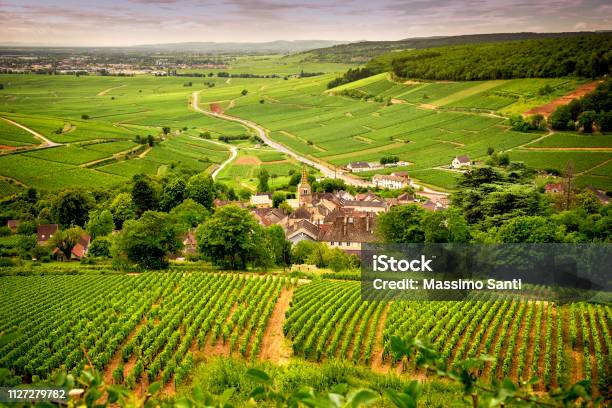 Burgundy Corton Scenic Road That Crosses The Wine Region And Introduces Us To The Main Producers And Their Vineyards Near Corton France Stock Photo - Download Image Now