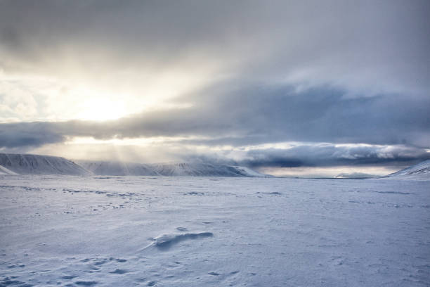 얼음 냉동된 스발바르 풍경 - sunrise mountain winter arctic 뉴스 사진 이미지
