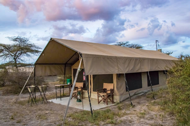 istock Serengeti Camp tent 1127284076