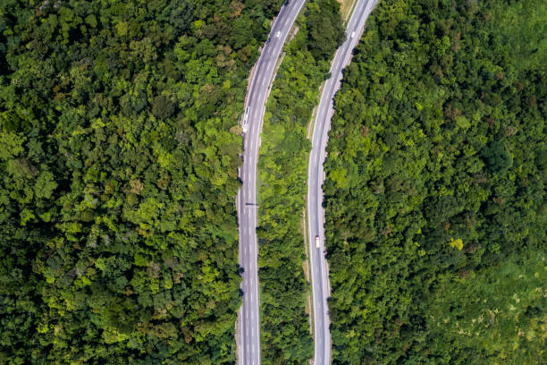 draufsicht der landschaft - straße und wald - double bend sign fotos stock-fotos und bilder