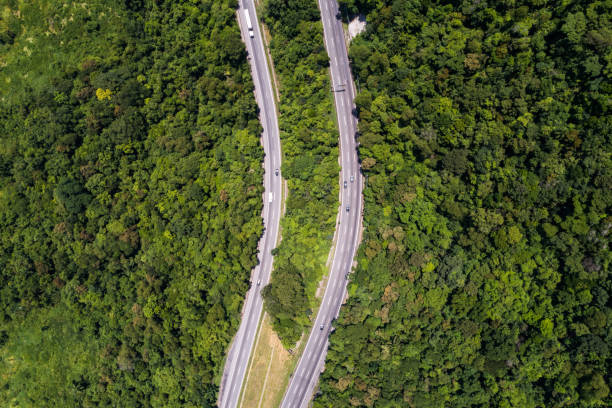 istock Top View of Landscape - Road and Forest 1127289312