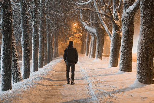 Young man in black clothes alone slowly walking on snow covered sidewalk through alley of trees. Peaceful atmosphere in snowy winter night. Back view.