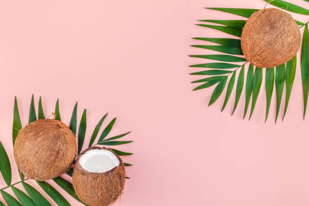 istock Palm leaves and coconuts on pink pastel background 1127294245
