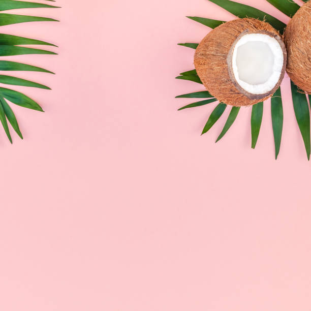 istock Palm leaves and coconuts on pink pastel background 1127294265