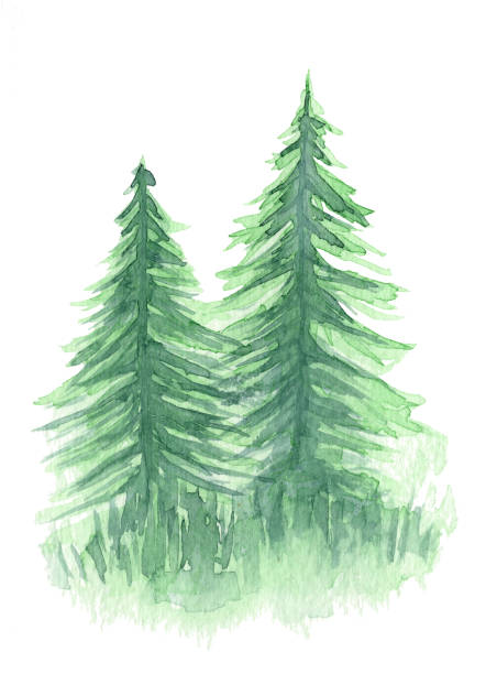 istock Watercolor background with two green firs or pines 1127296234