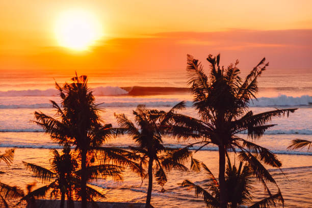 Warm sunset with big ocean waves and coconut palms