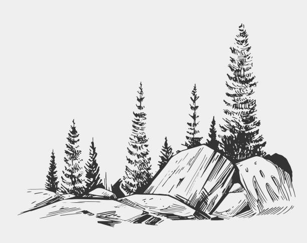호수, 바위, 나무, 야생 자연 풍경. 알래스카 지역입니다. 손으로 그린된 그림 변환 벡터입니다. - 알래스카 일러스트 stock illustrations
