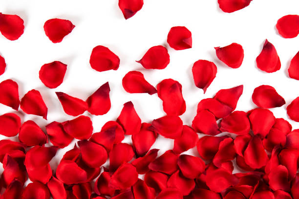 istock Beautiful bright red rose petals, romantic gesture, background. Happy valentines day oliday sales concept. 1127297212