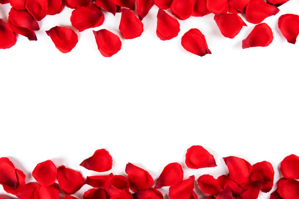istock Beautiful bright red rose petals, romantic gesture, background. Happy valentines day oliday sales concept. 1127297223