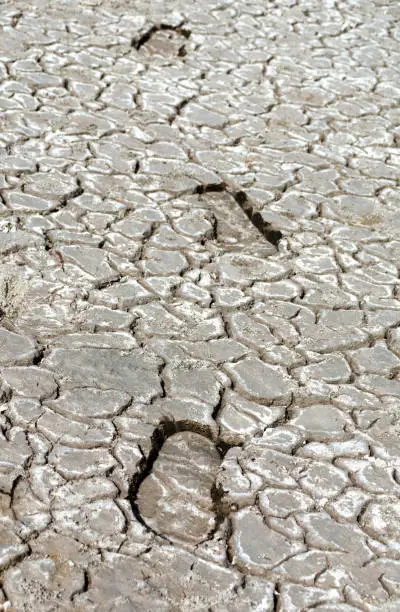 Photo of human footprints