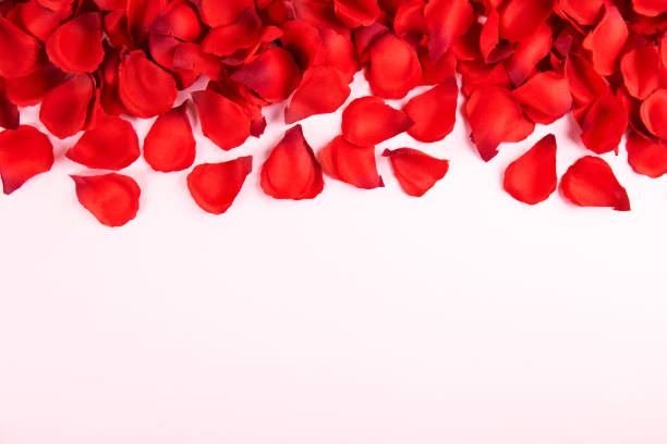 istock Beautiful bright red rose petals, romantic gesture, background. Happy valentines day oliday sales concept. 1127297454