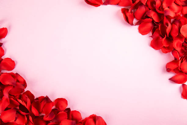 istock Beautiful bright red rose petals, romantic gesture, background. Happy valentines day oliday sales concept. 1127297629