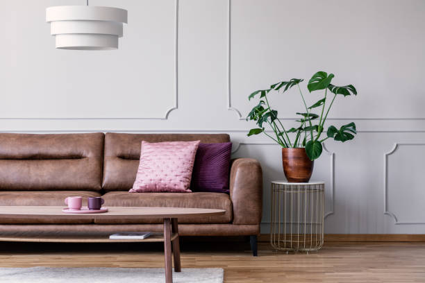 istock Plant next to leather couch with pink pillow in white flat interior with lamp above table. Real photo 1127297635
