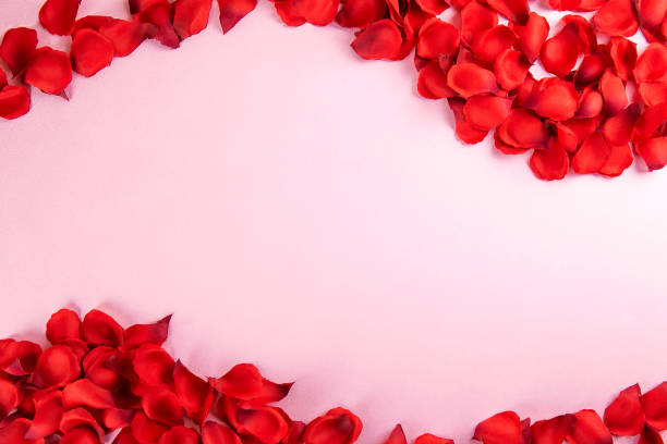 istock Beautiful bright red rose petals, romantic gesture, background. Happy valentines day oliday sales concept. 1127297699
