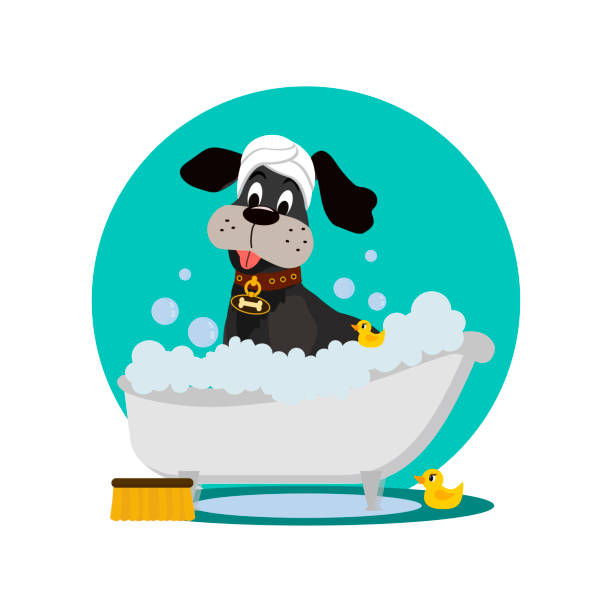 istock Cute dog in a bathtub not so amused about that , with yellow plastic ducks and towel on head, covered in foam. 1127297759