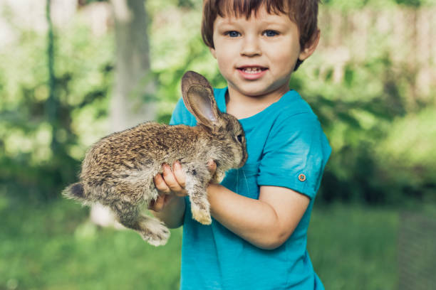 istock Little boy is holding a bunny at the farm 1127299251