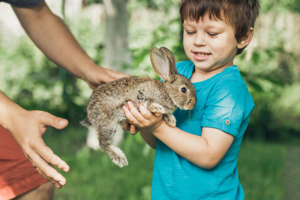 istock Little boy is holding a bunny at the farm 1127299364